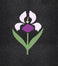 20"x14" Iris Flower Stencil